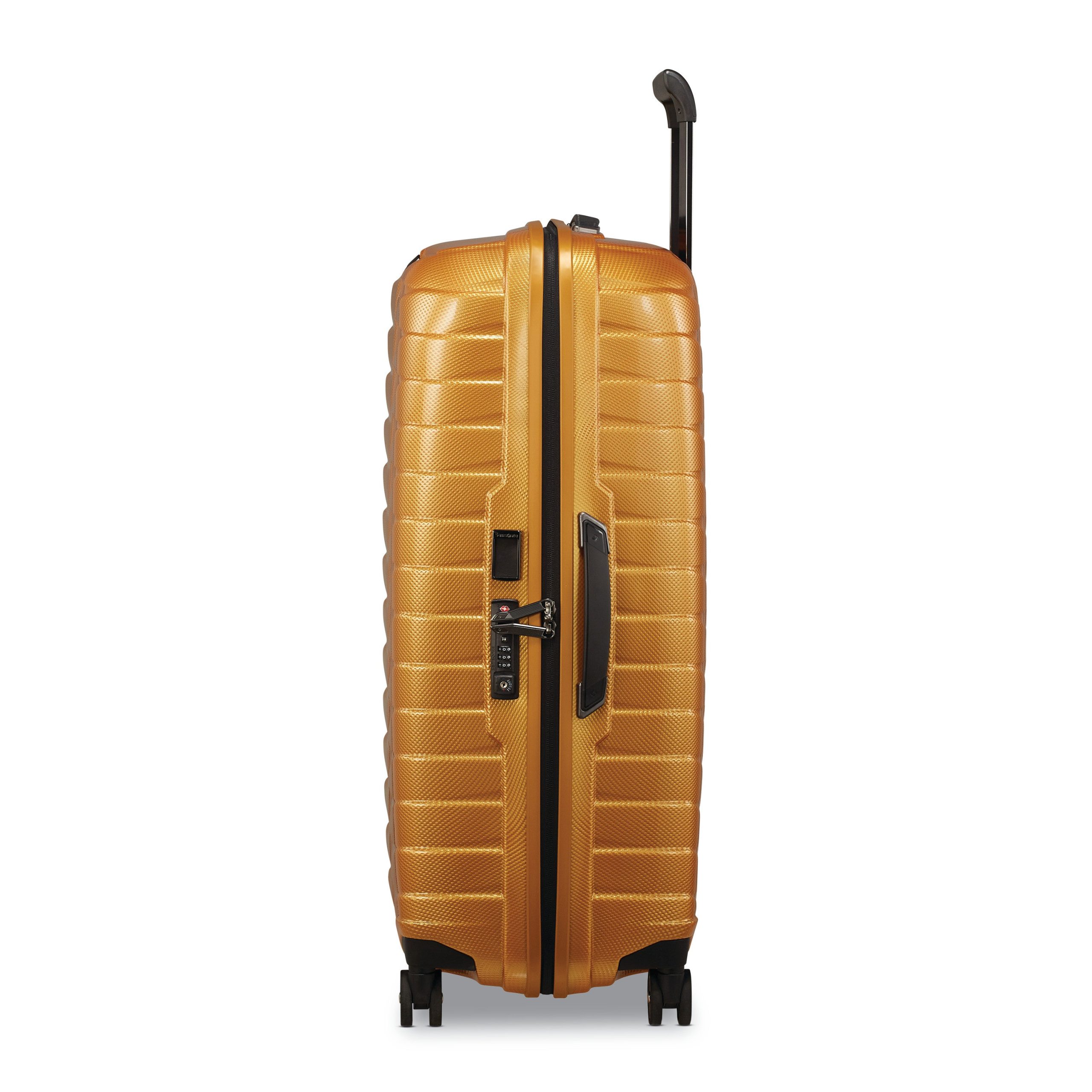 Proxis Large Spinner Honey Gold - Image 3